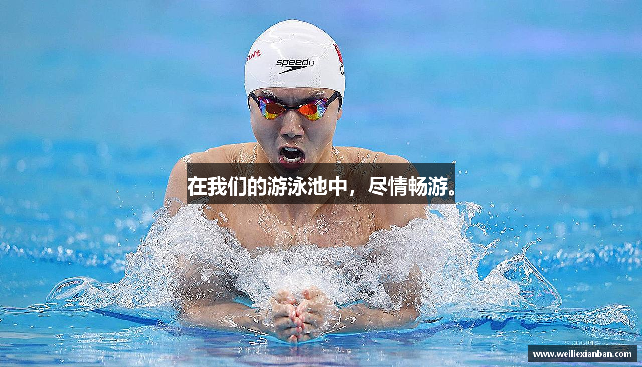 在我们的游泳池中，尽情畅游。